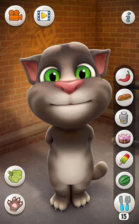 tom the talking cat|play talking tom cat free.